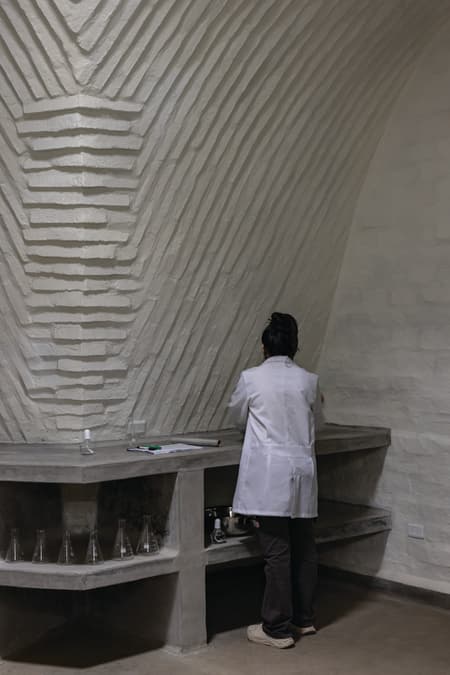 Witoca Lab
